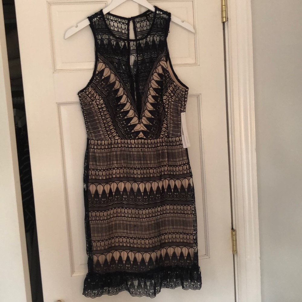 Navy and nude lace Aqua dress